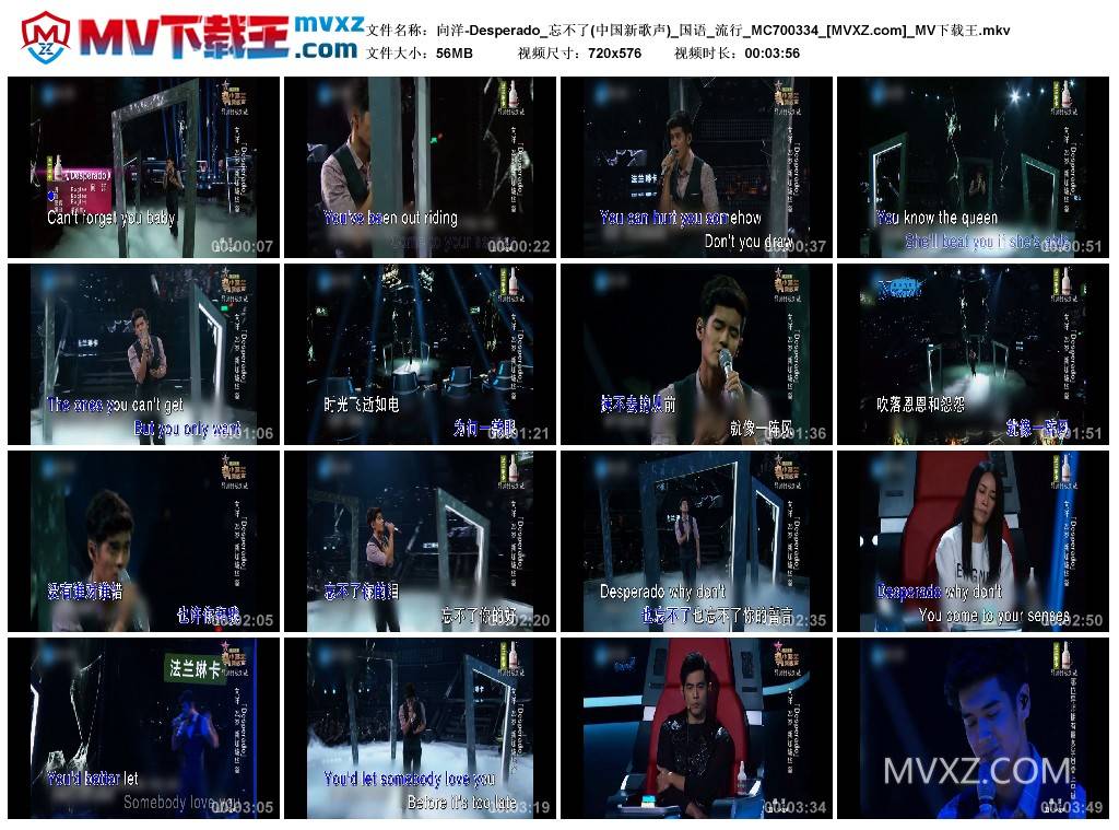 向洋-Desperado_忘不了(中国新歌声)_国语_流行_MC700334